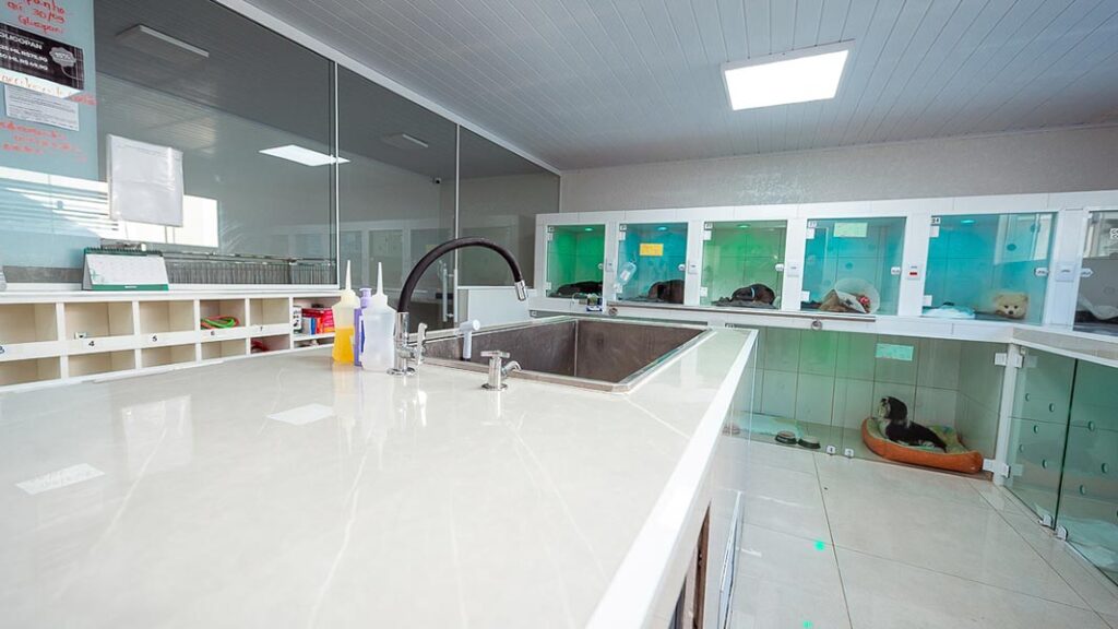 sala-de-internacoes-imagem-2