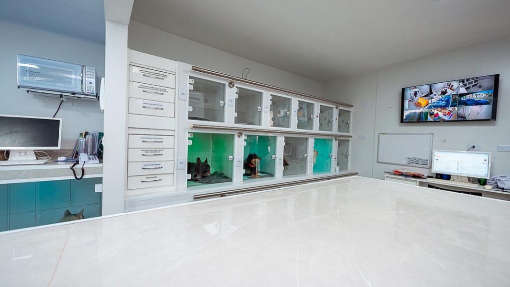 sala-de-internacoes-imagem-3