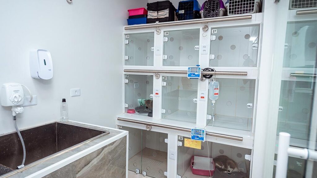 sala-de-internacoes-imagem-4