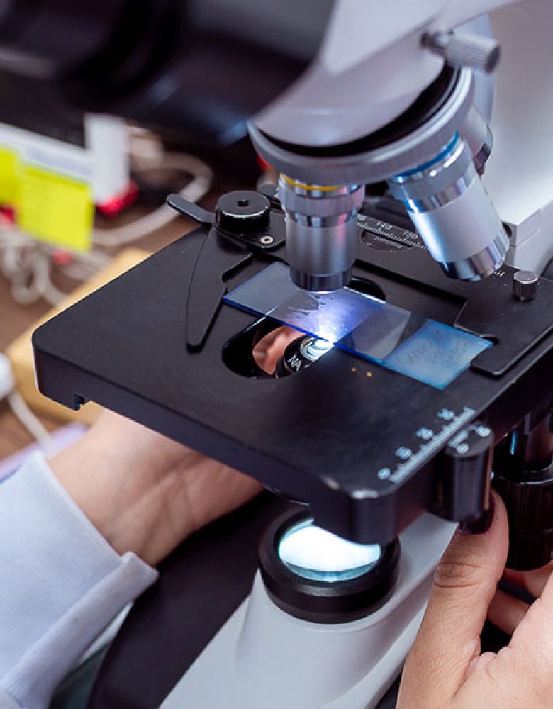 analise-microscopio-veterinario
